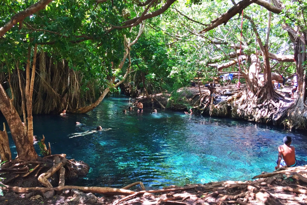 Kikuletwa Hot Springs Attractions
