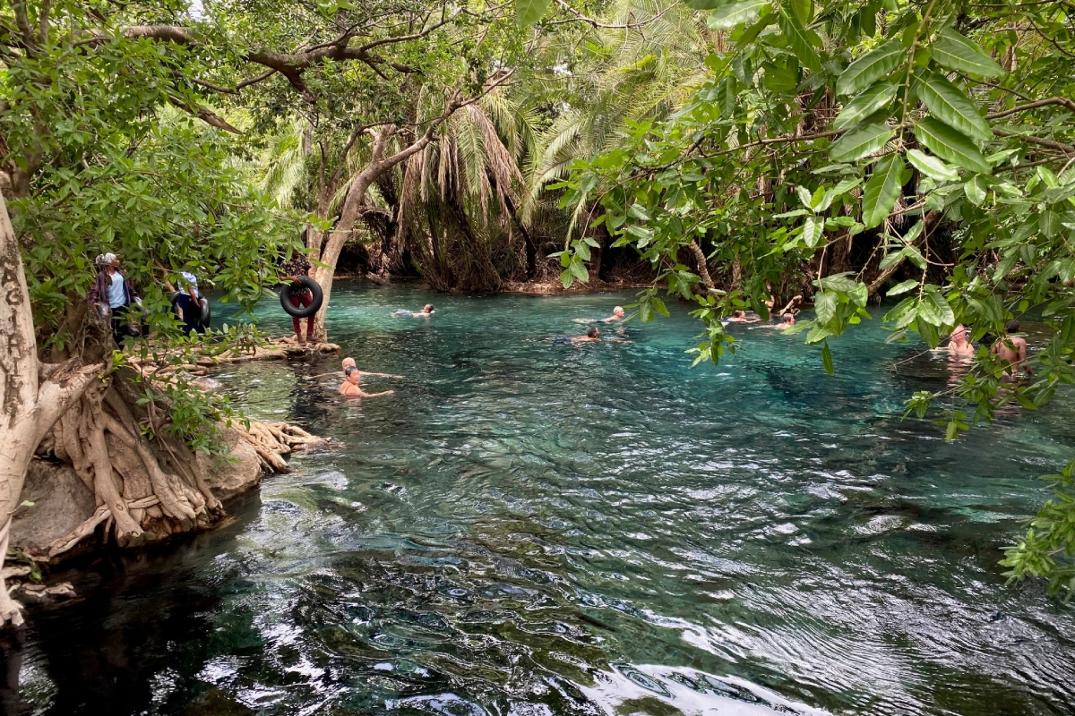 Kikuletwa Hot Springs