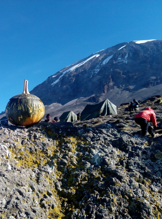Kilimanjaro FAQs