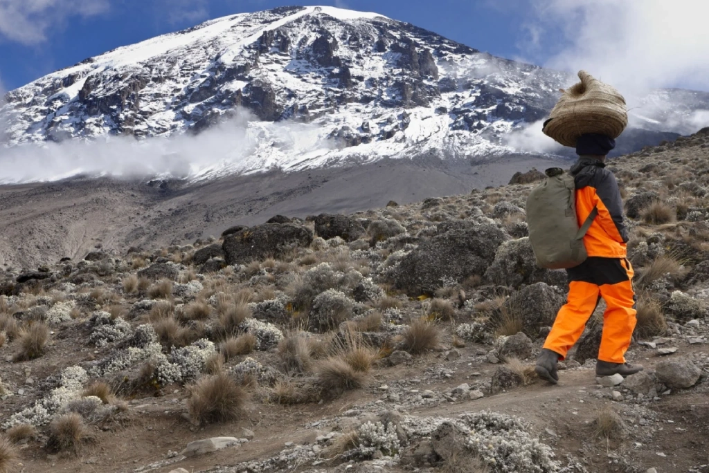 Kilimanjaro