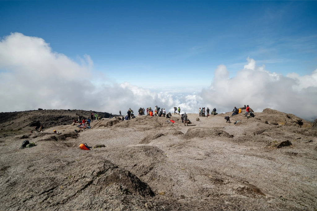 Kilimanjaro
