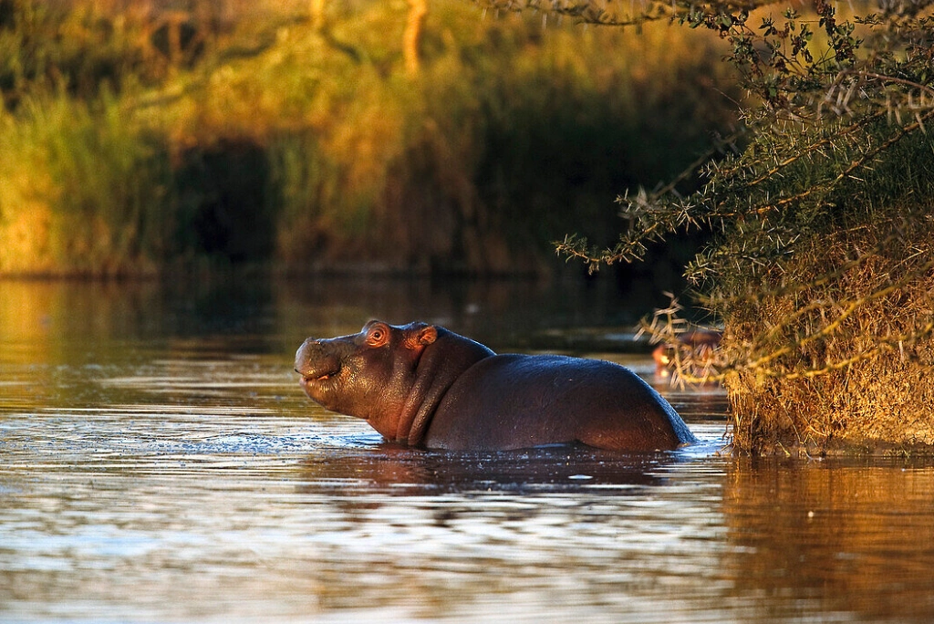 Lake Manyara Day Trip Attractions