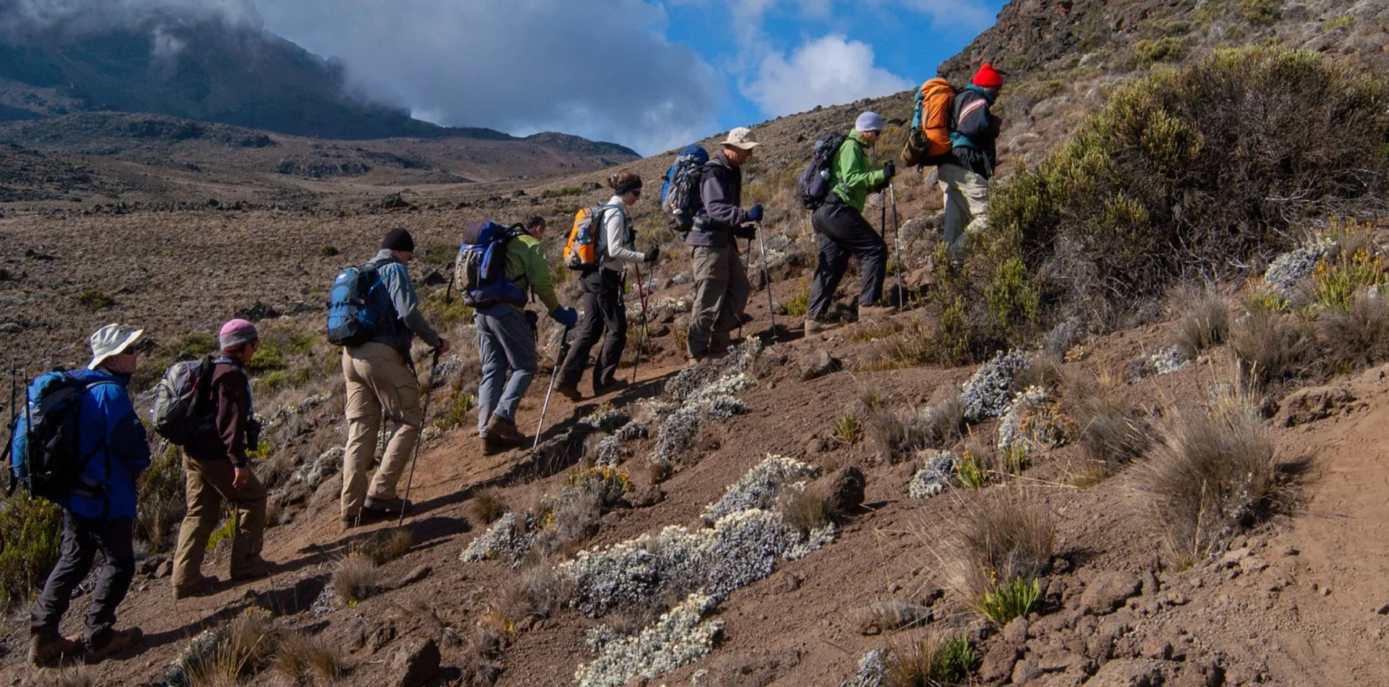 Marangu Route Day Hike