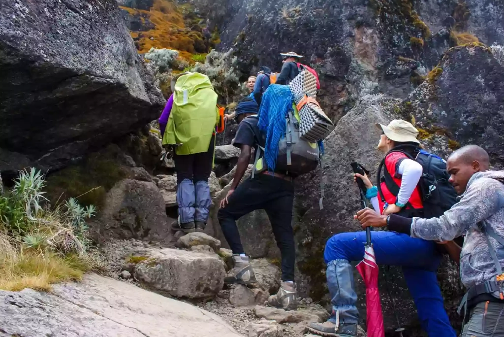 Marangu Route Day Hike