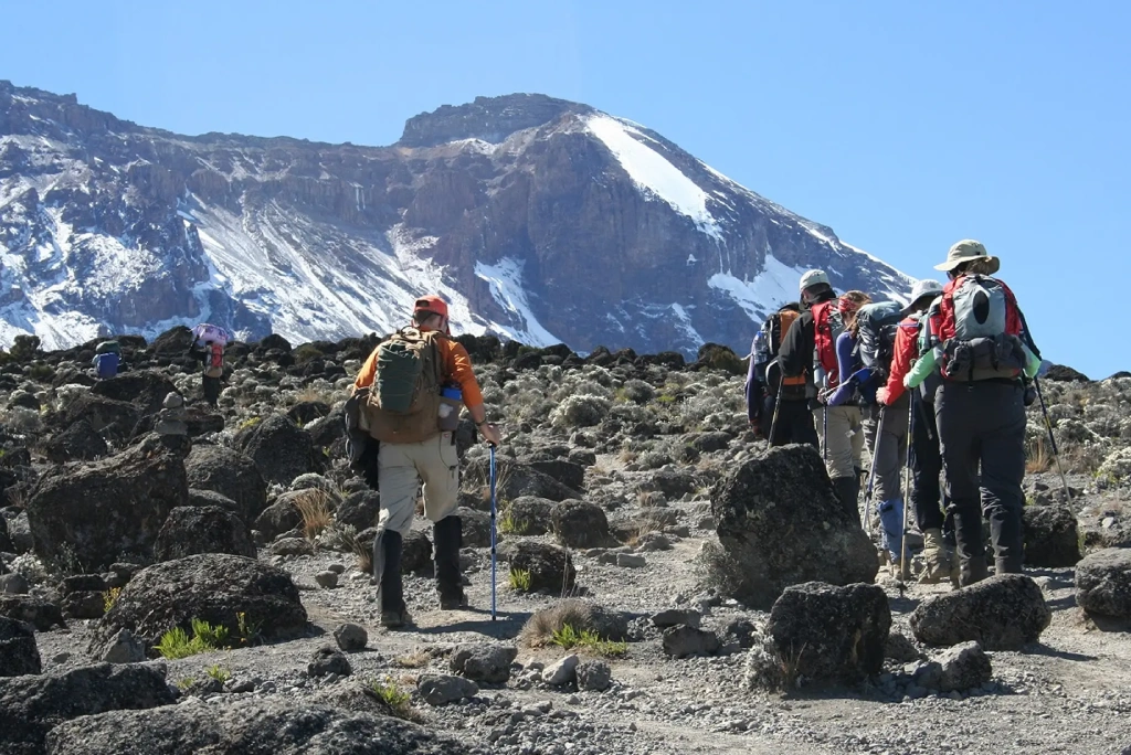 Marangu Route Day Hike