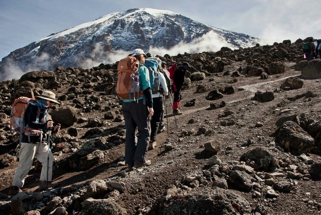 Marangu Route Day Hike