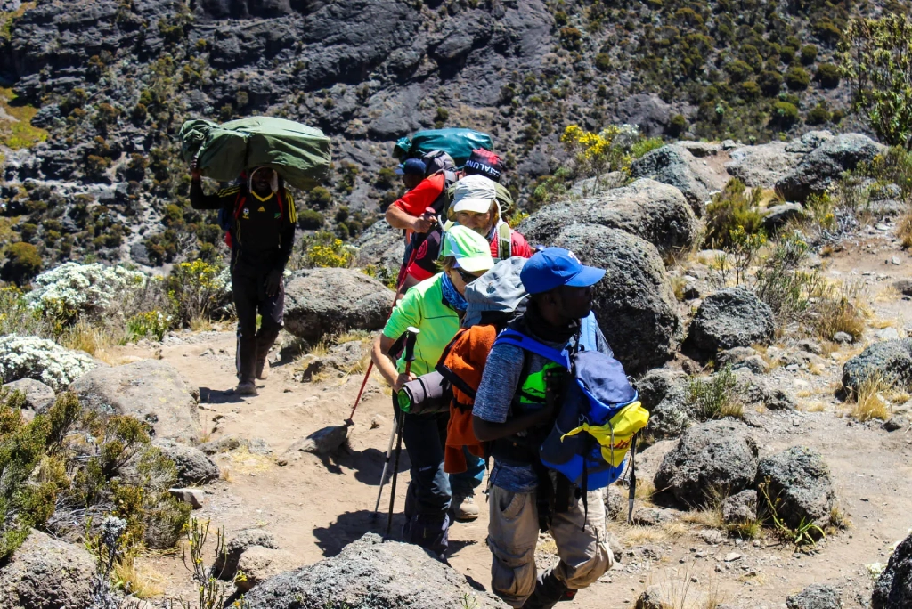 Marangu Route Day Hike