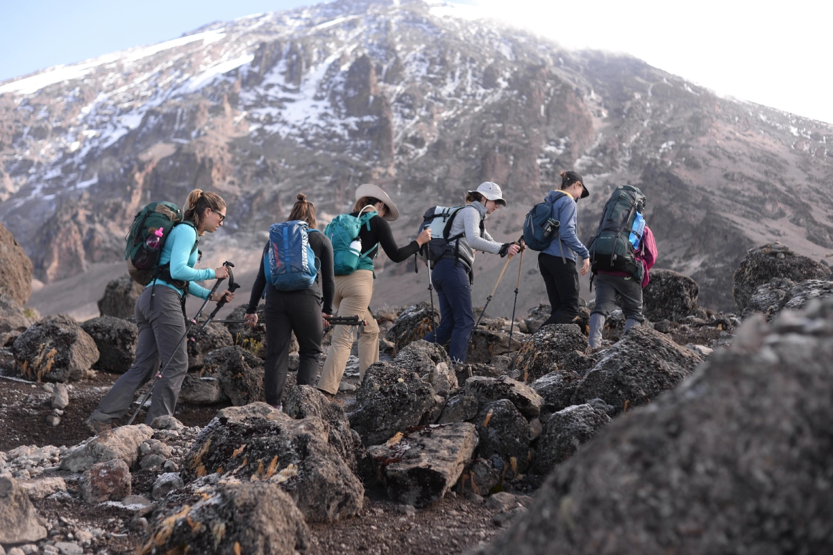 Marangu Route Day Hike