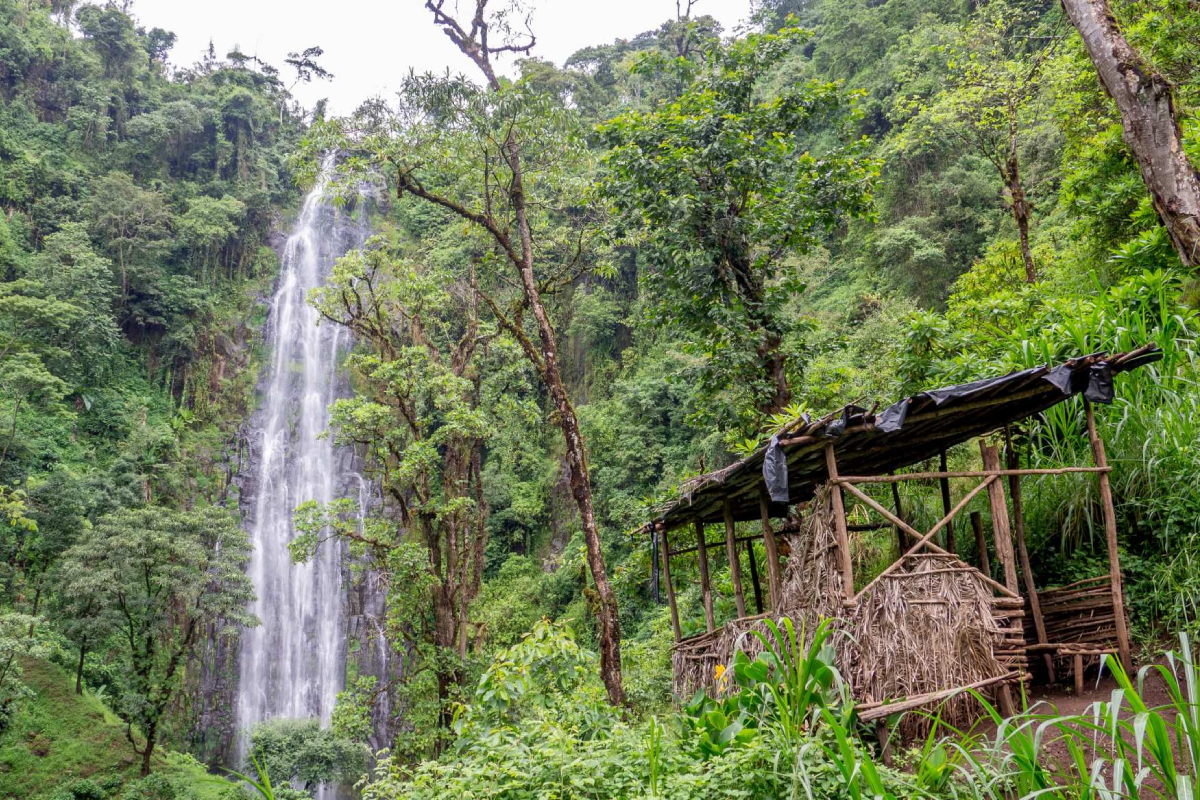Waterfalls & Coffee Tour