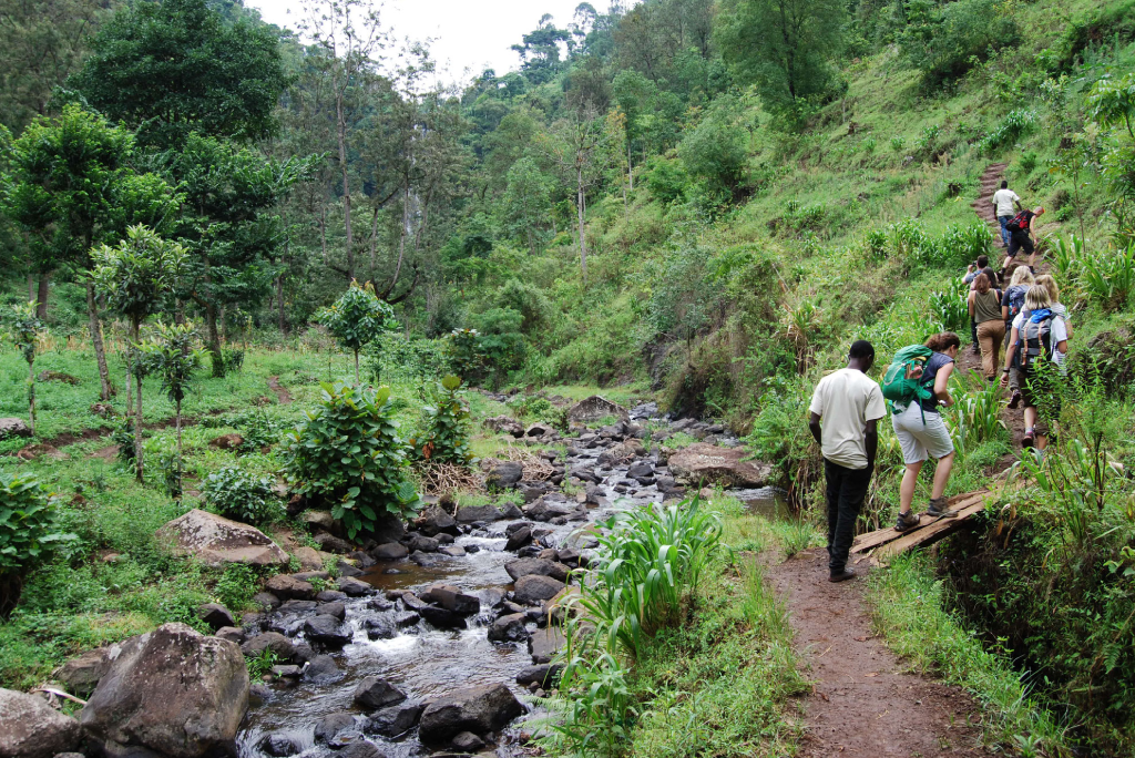 Materuni Waterfalls and Coffee Tour
