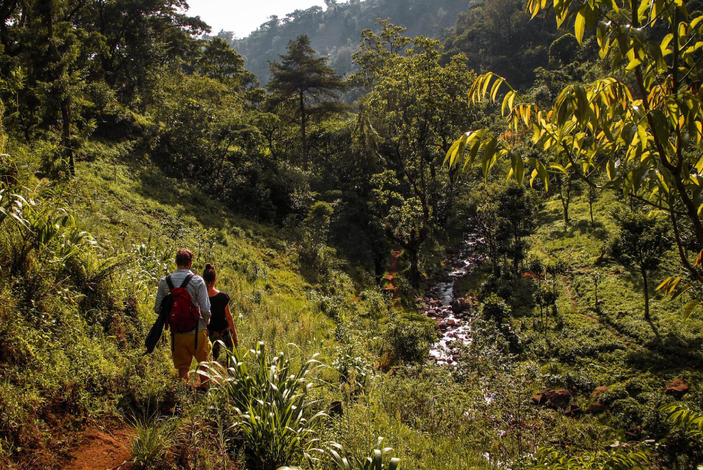 Materuni Waterfalls and Coffee Tour