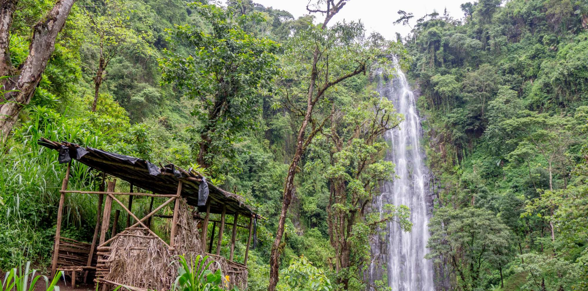 Materuni Waterfalls and Coffee Tour