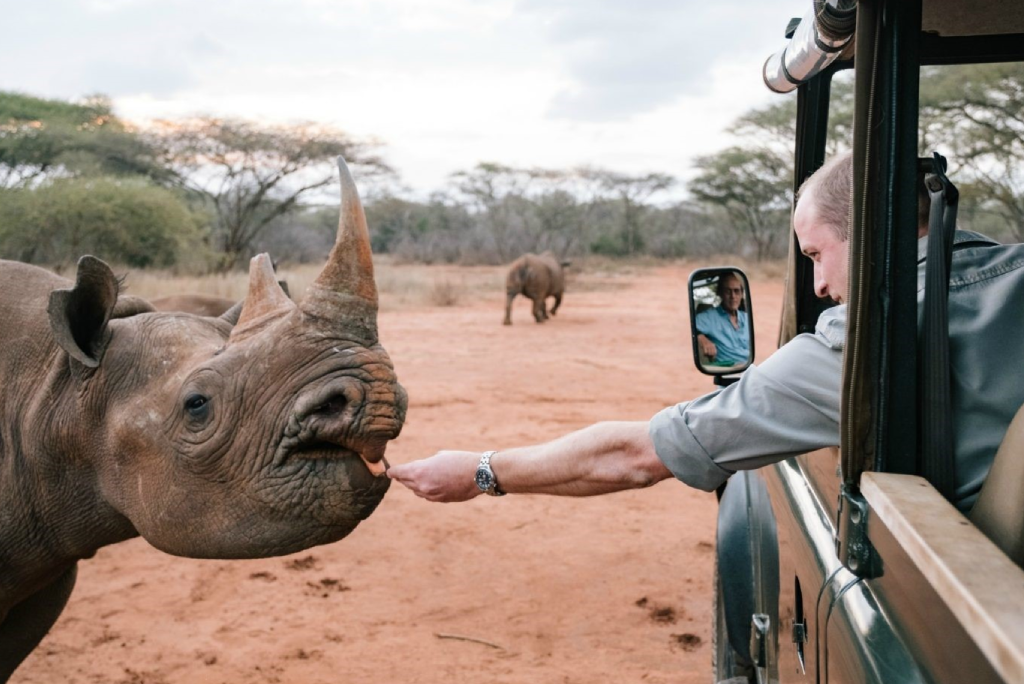 Mkomazi National Park