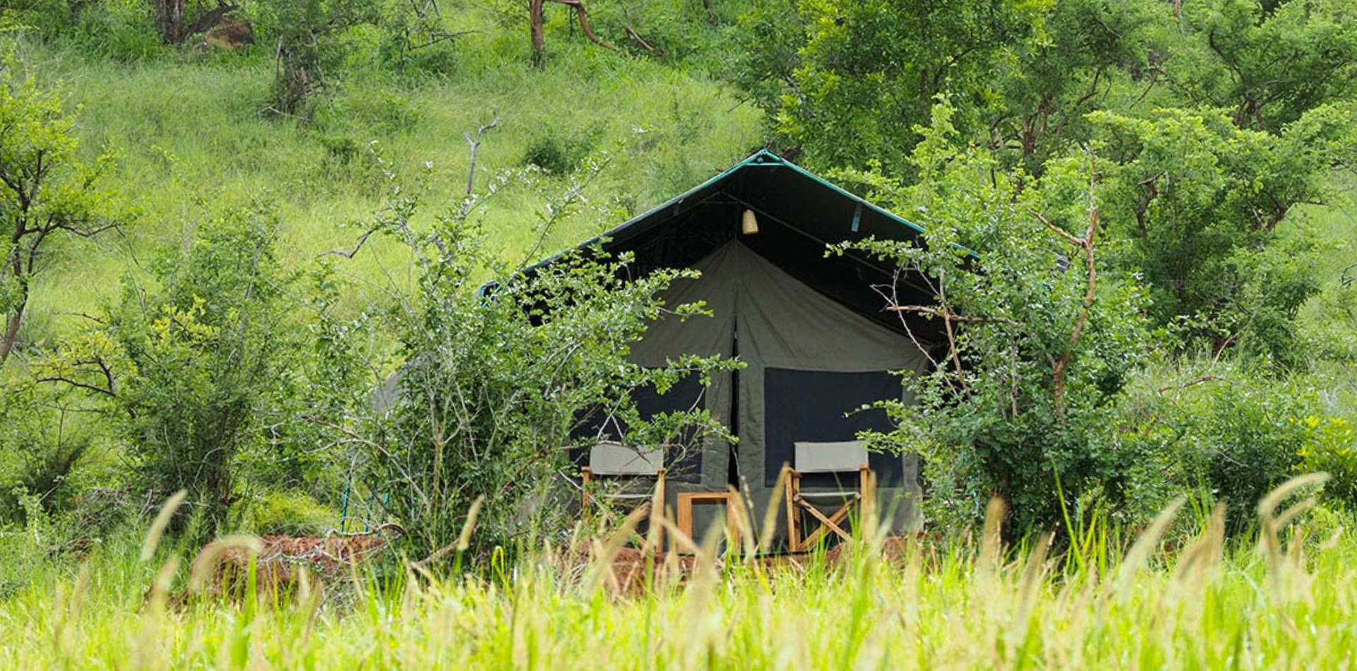 Mkomazi National Park Camping