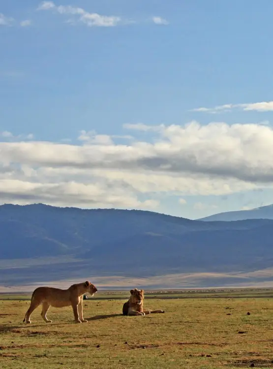 Ngorongoro Crater 