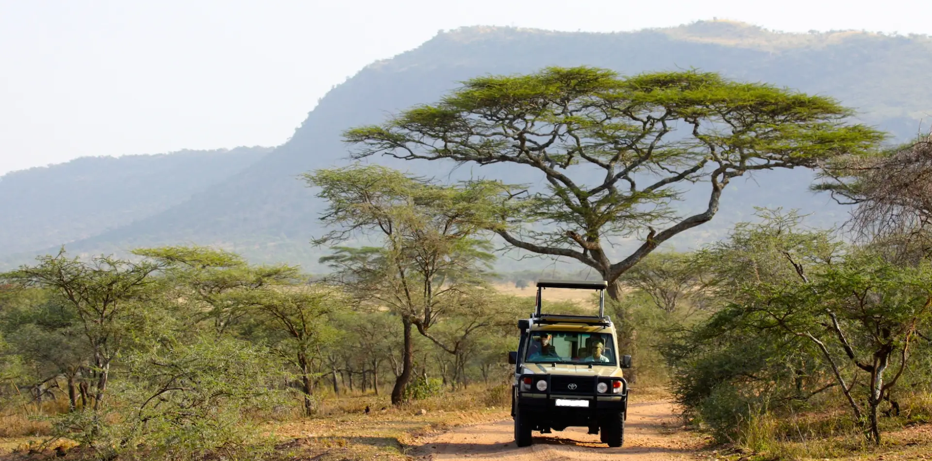 Ngorongoro Day Trip Game Drive