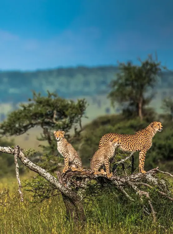 Serengeti National Park