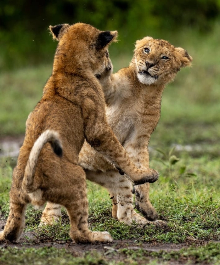 Tanzania Day Trips Attractions