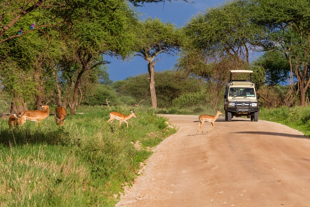 Tanzania