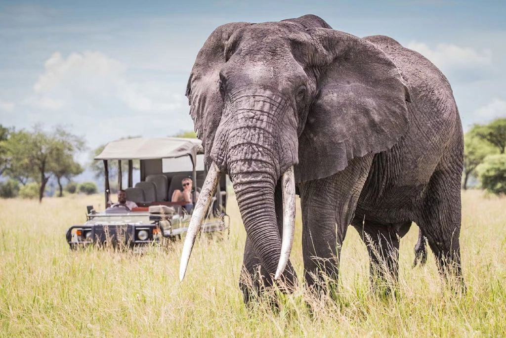 Tanzania