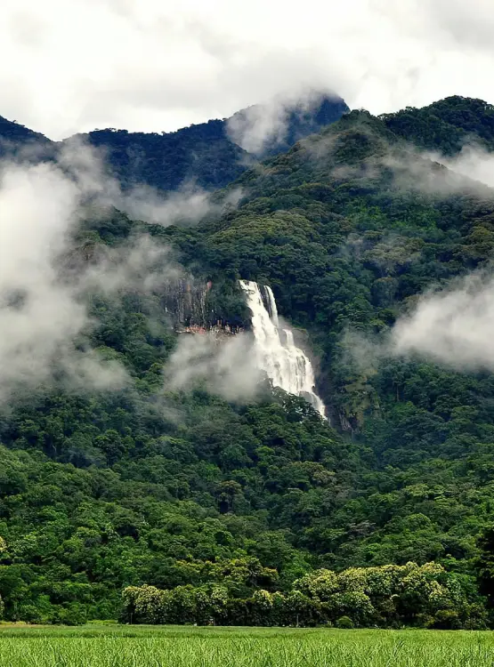 Udzungwa Mountain National Park