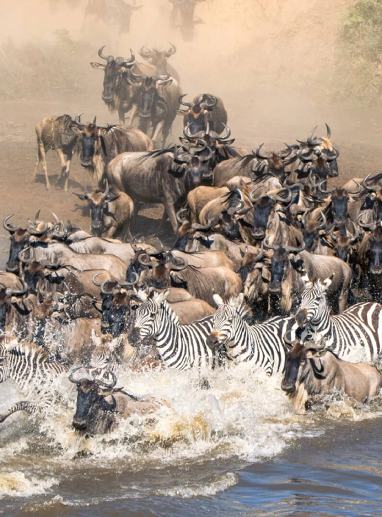 Hot Air Balloon Safari Attractions