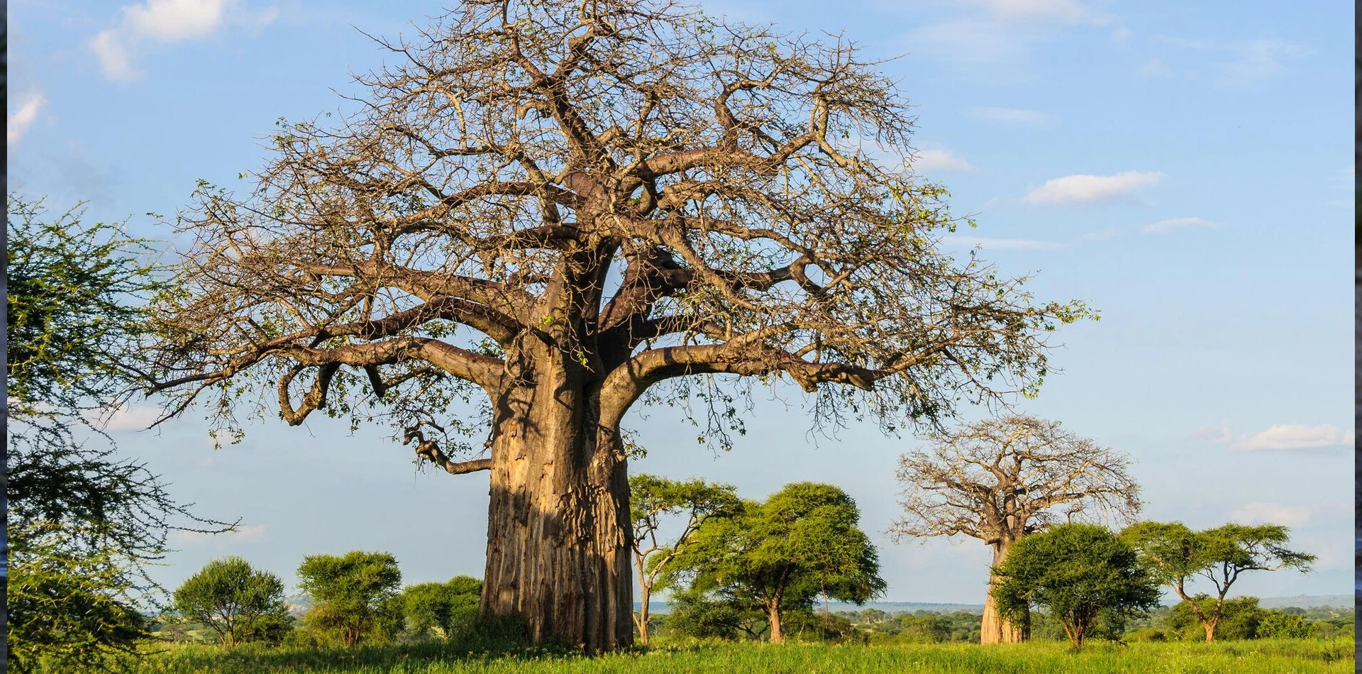 3-days-tanzania-camping-safari-17