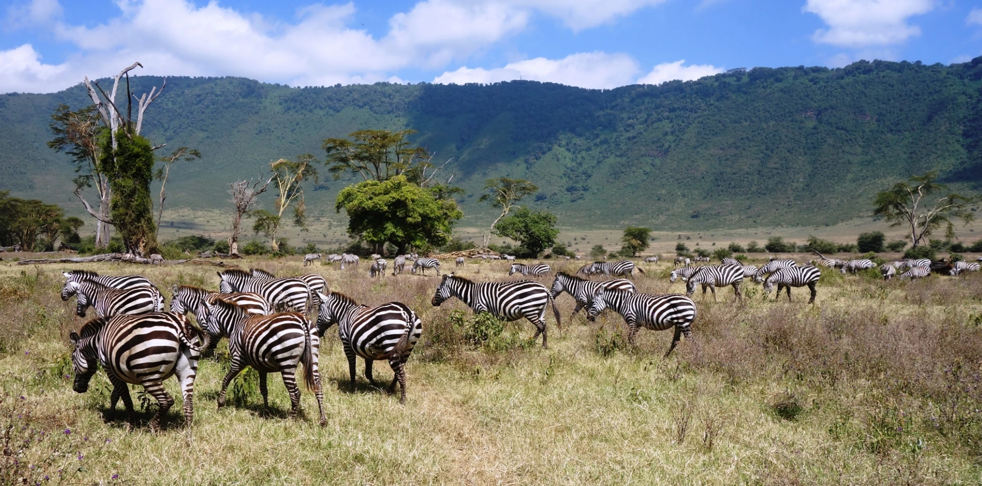 4 Days Tanzania Camping Safari Attractions