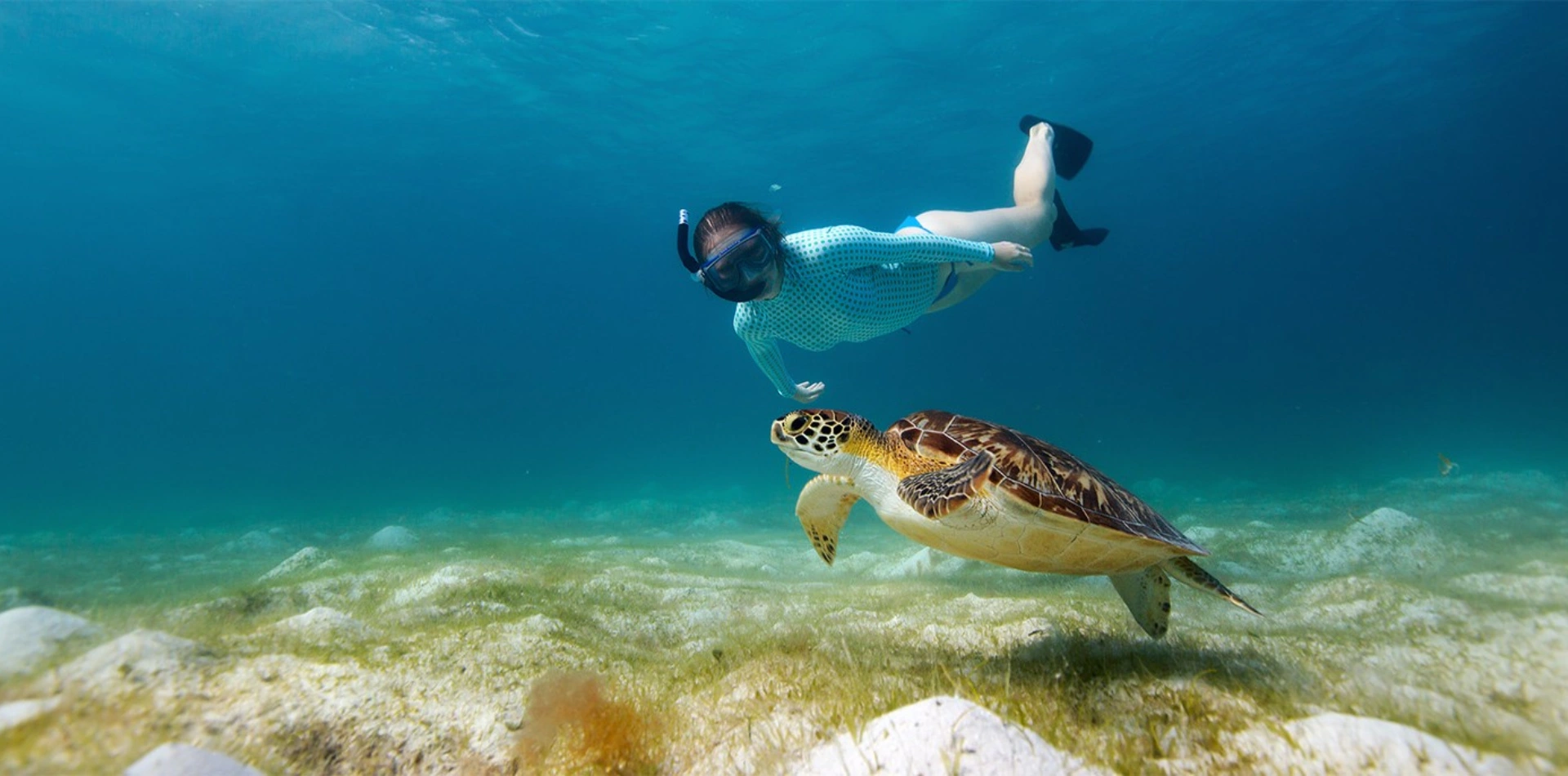 Snorkeling