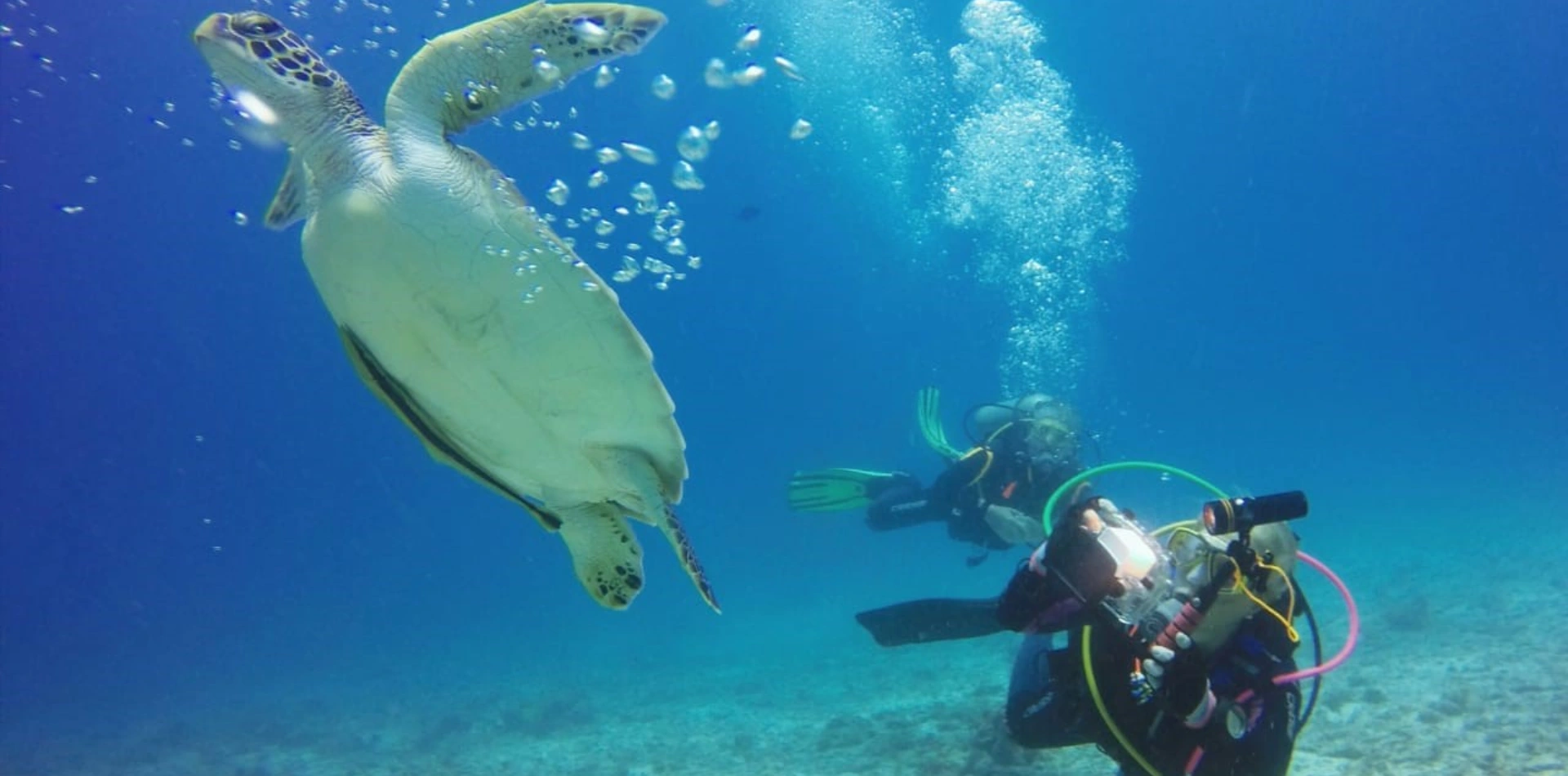 Snorkeling Adventure