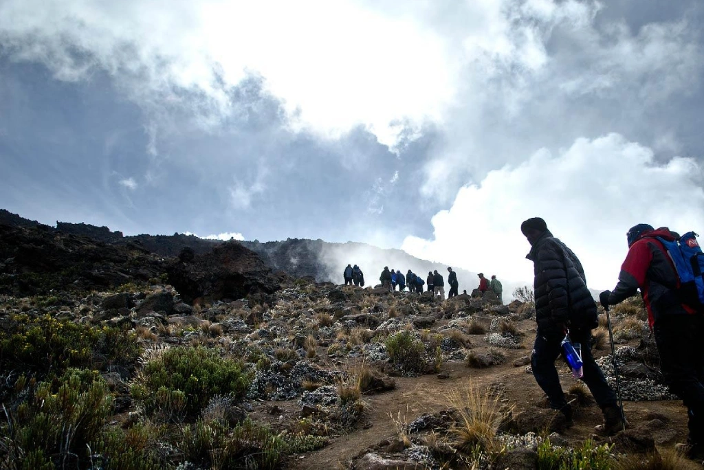 6-days-kilimanjaro-trekking-itinerary-machame-route-9