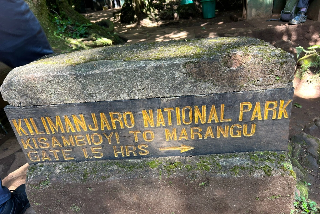 6-days-kilimanjaro-trekking-itinerary-marangu-route-11