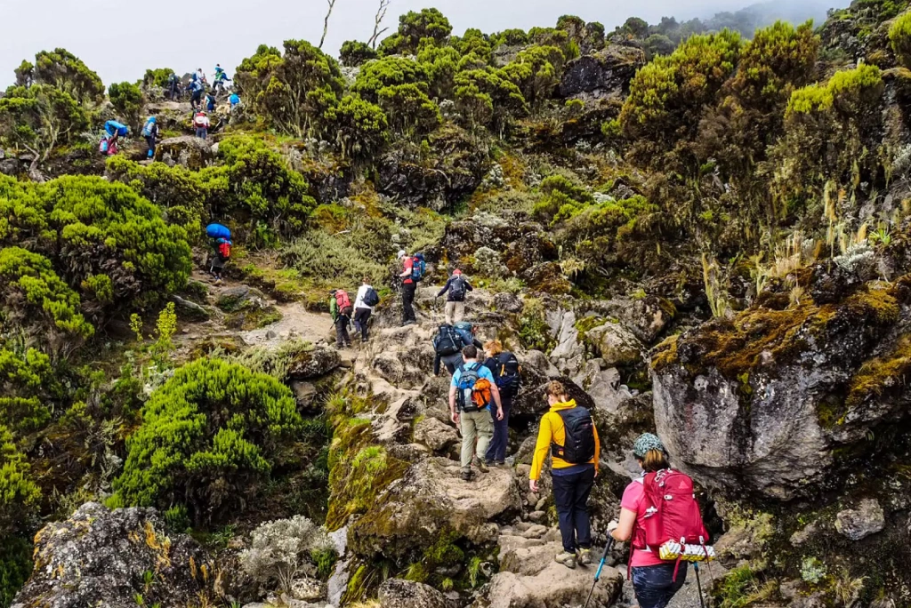 6-days-kilimanjaro-trekking-itinerary-marangu-route-8