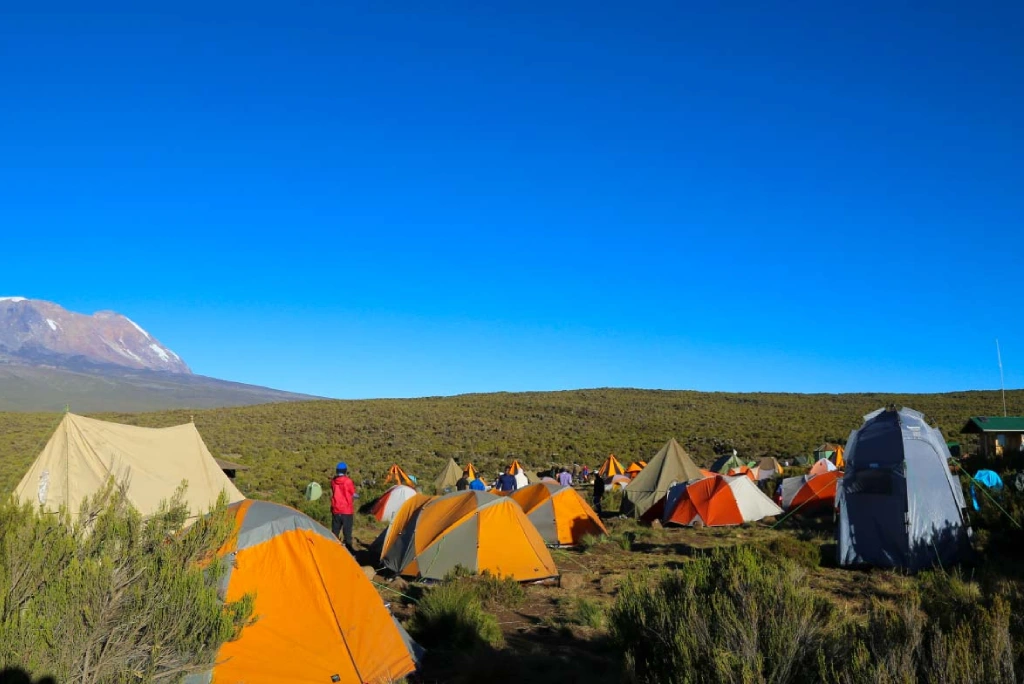 6-days-kilimanjaro-trekking-itinerary-marangu-route-9