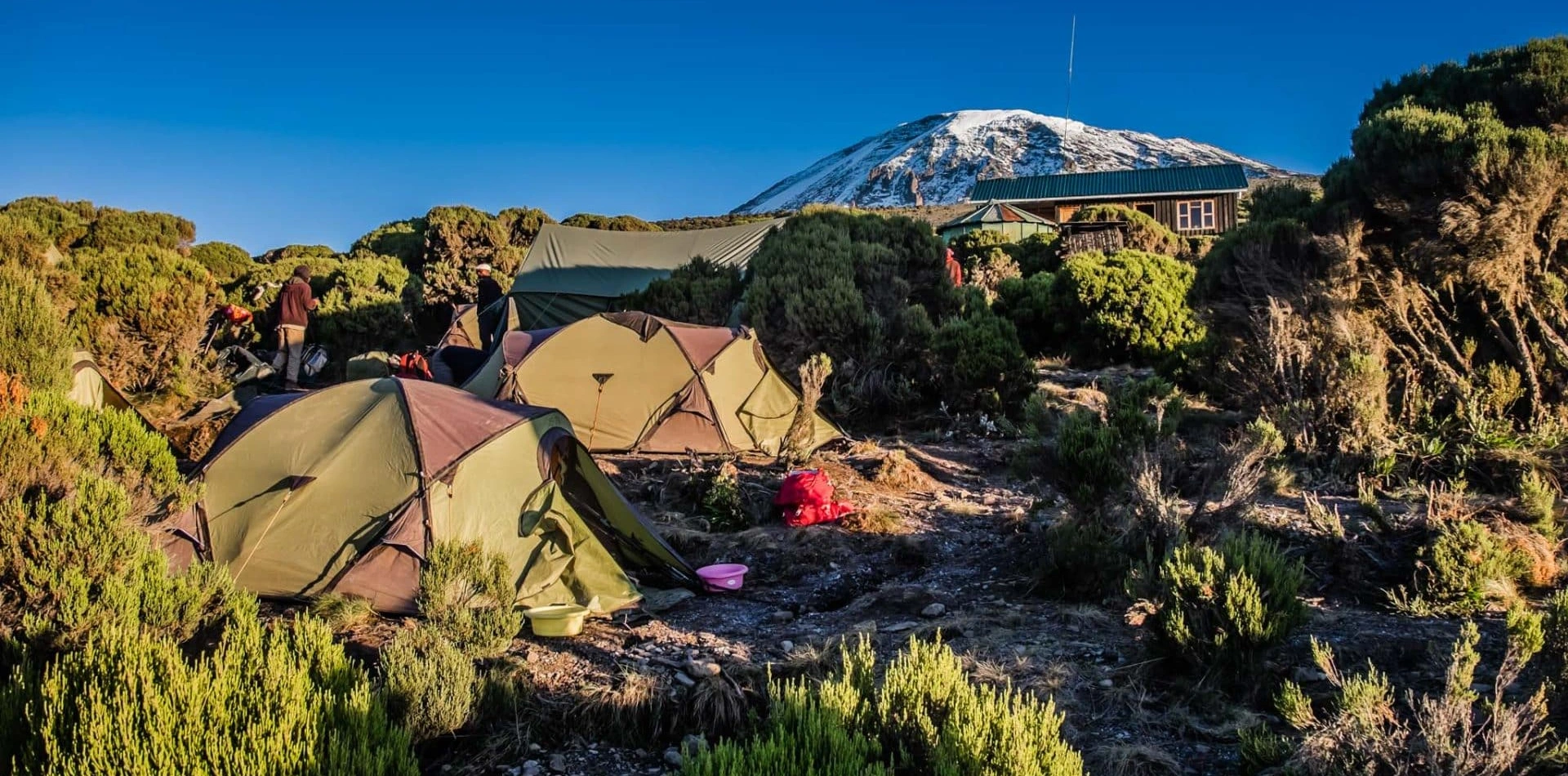 Mweka Camp