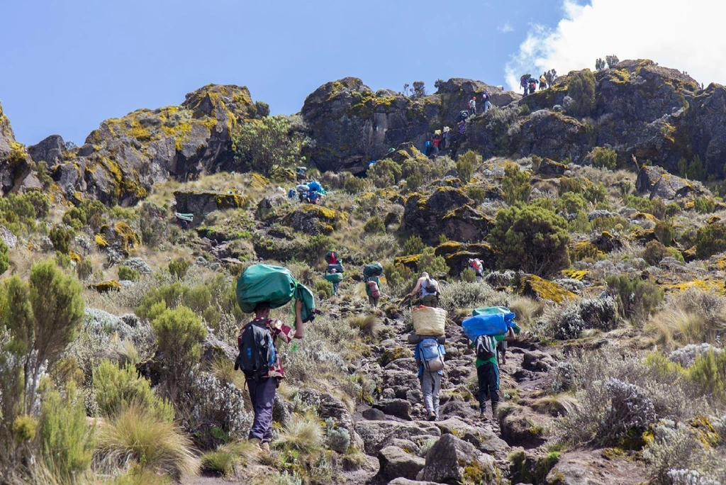 6-days-kilimanjaro-trekking-itinerary-umbwe-route-7