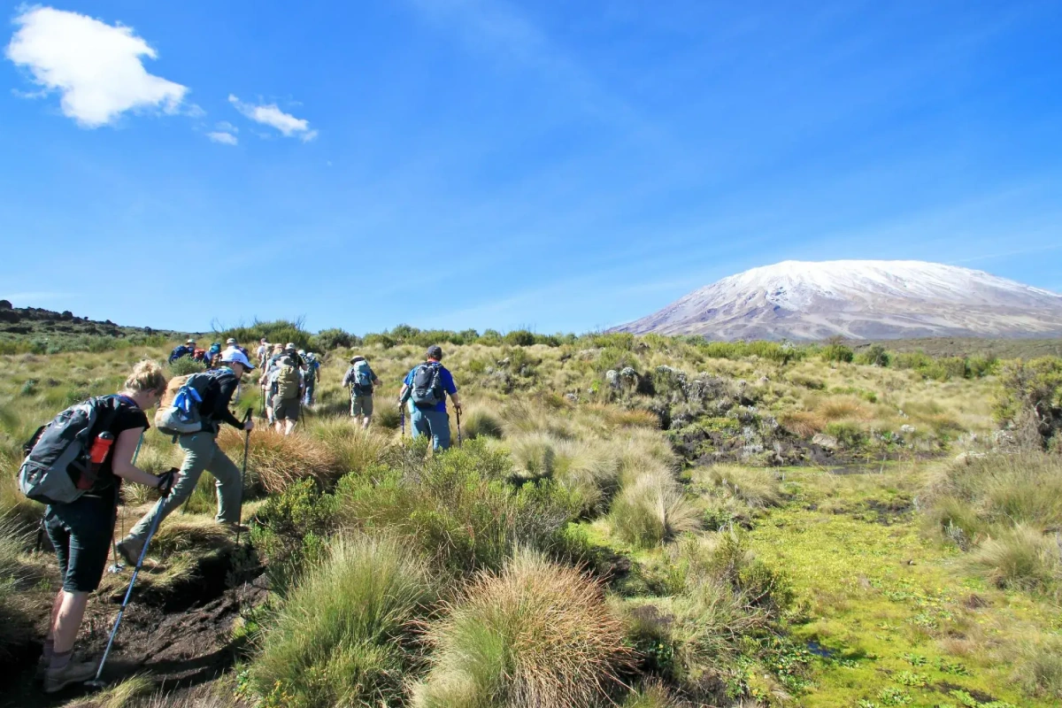 6 Days Kilimanjaro Trekking Itinerary – Umbwe Route