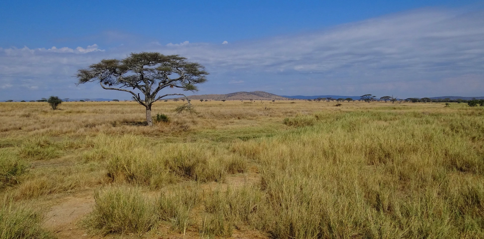 6 Days Semi Luxury Family Safari Attraction