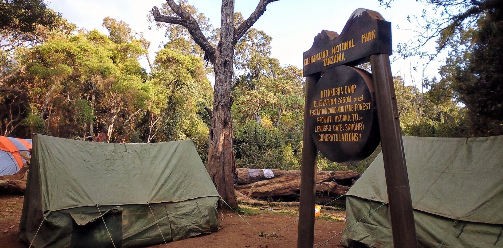 Mti Mkubwa Camp