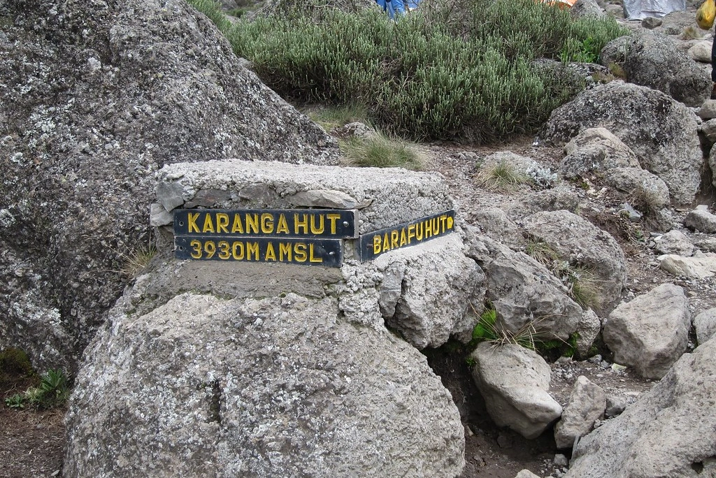 7-days-kilimanjaro-trekking-itinerary-lemosho-route-11