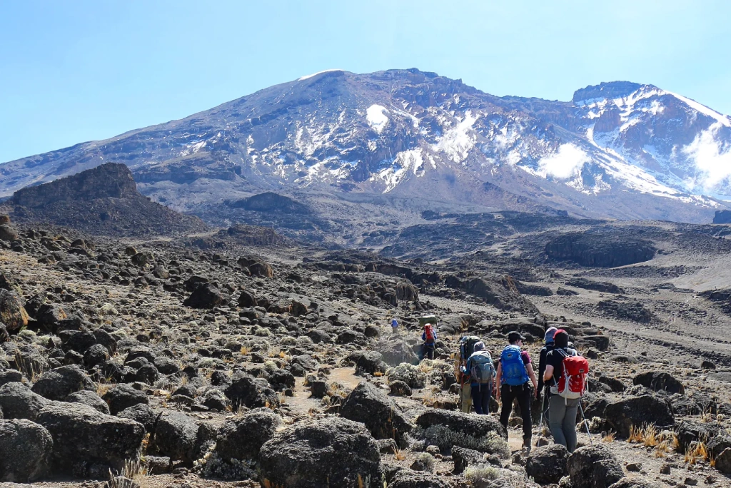 7-days-kilimanjaro-trekking-itinerary-lemosho-route-8