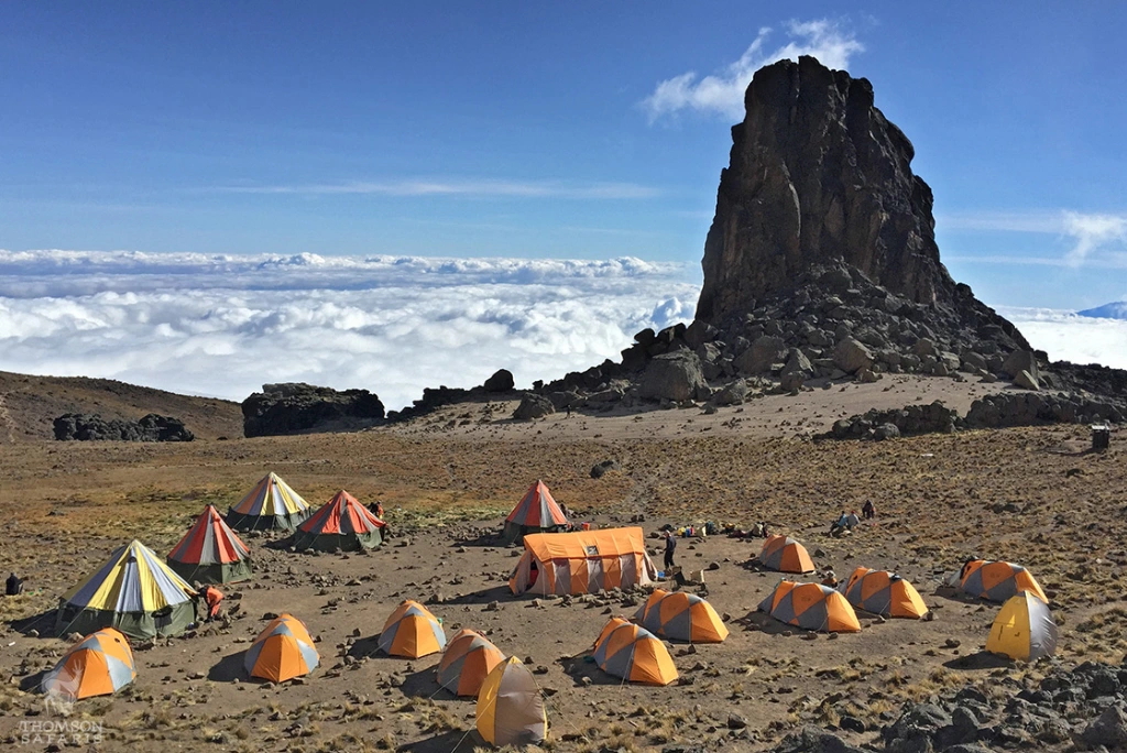 7-days-kilimanjaro-trekking-itinerary-lemosho-route-9