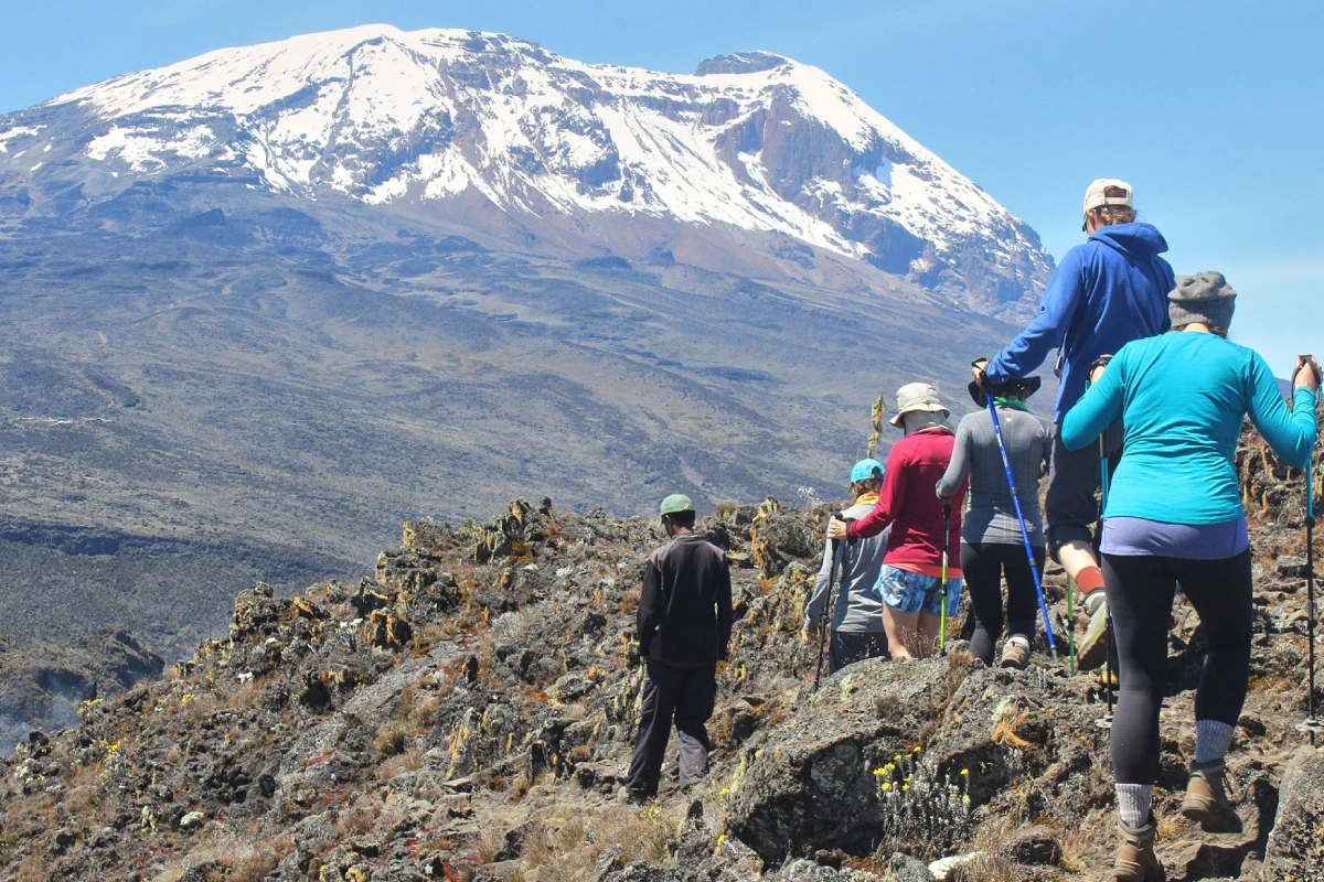 7 Days Kilimanjaro Trekking Itinerary – Lemosho Route