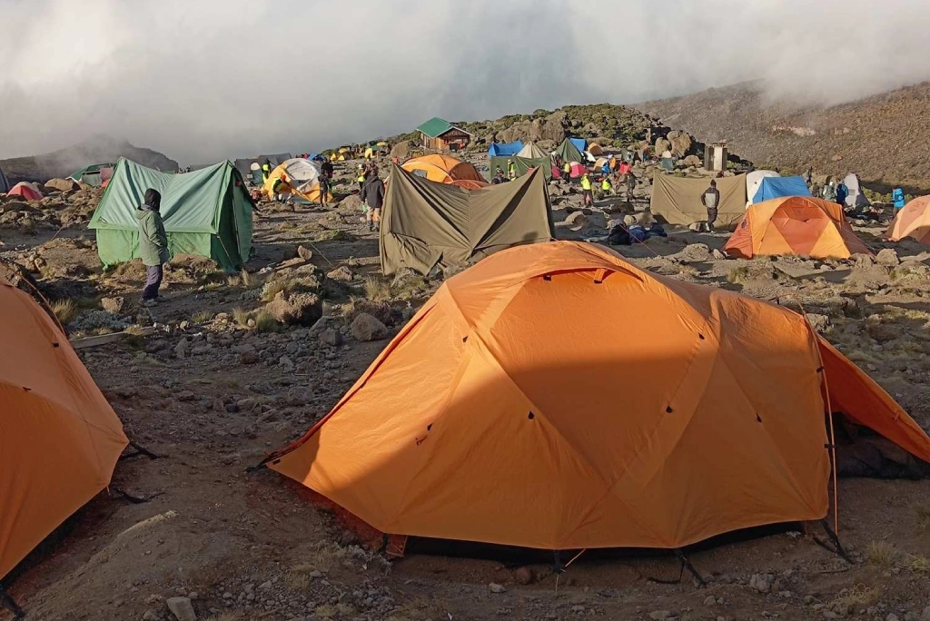7-days-kilimanjaro-trekking-itinerary-rongai-route-10