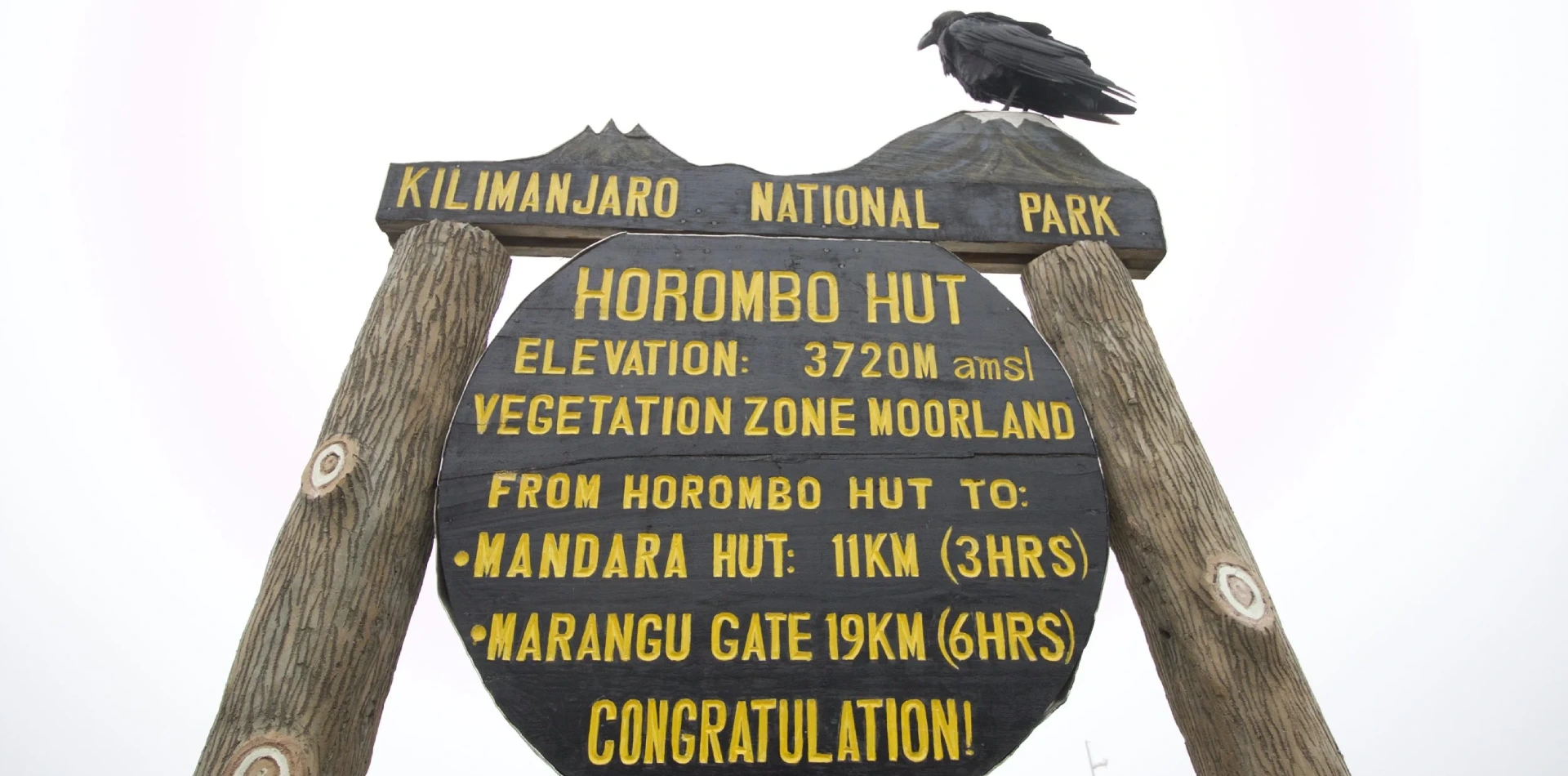 Horombo Hut