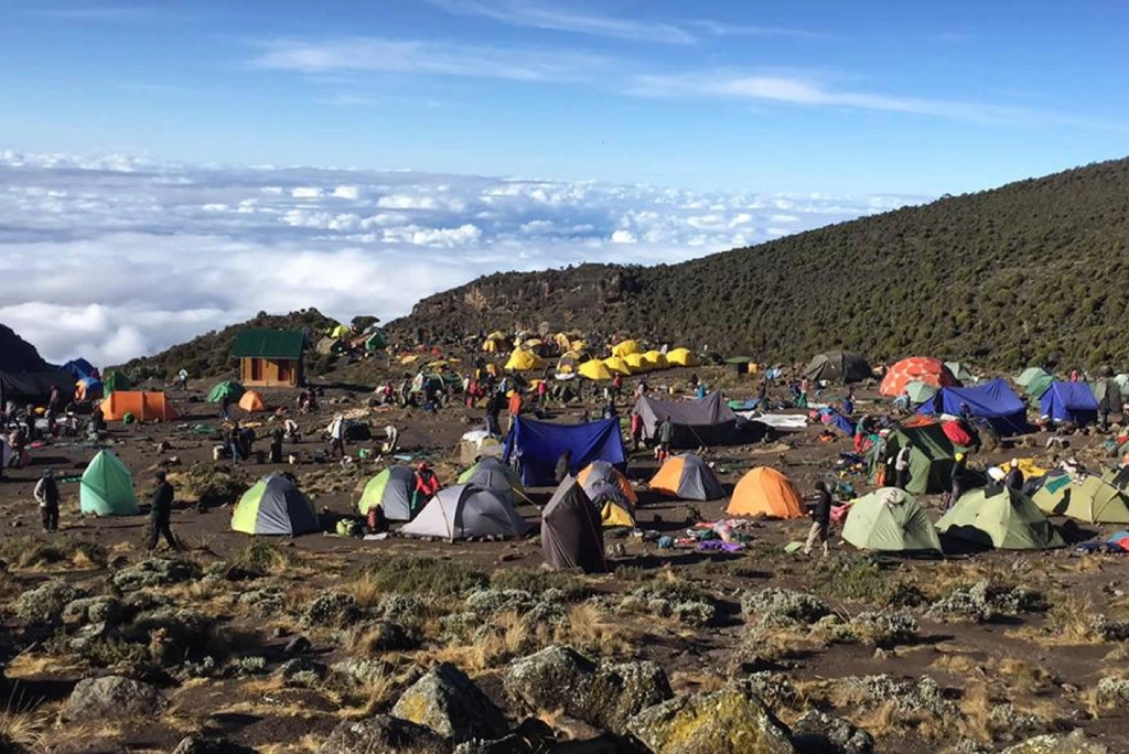 7-days-kilimanjaro-trekking-itinerary-umbwe-route-8