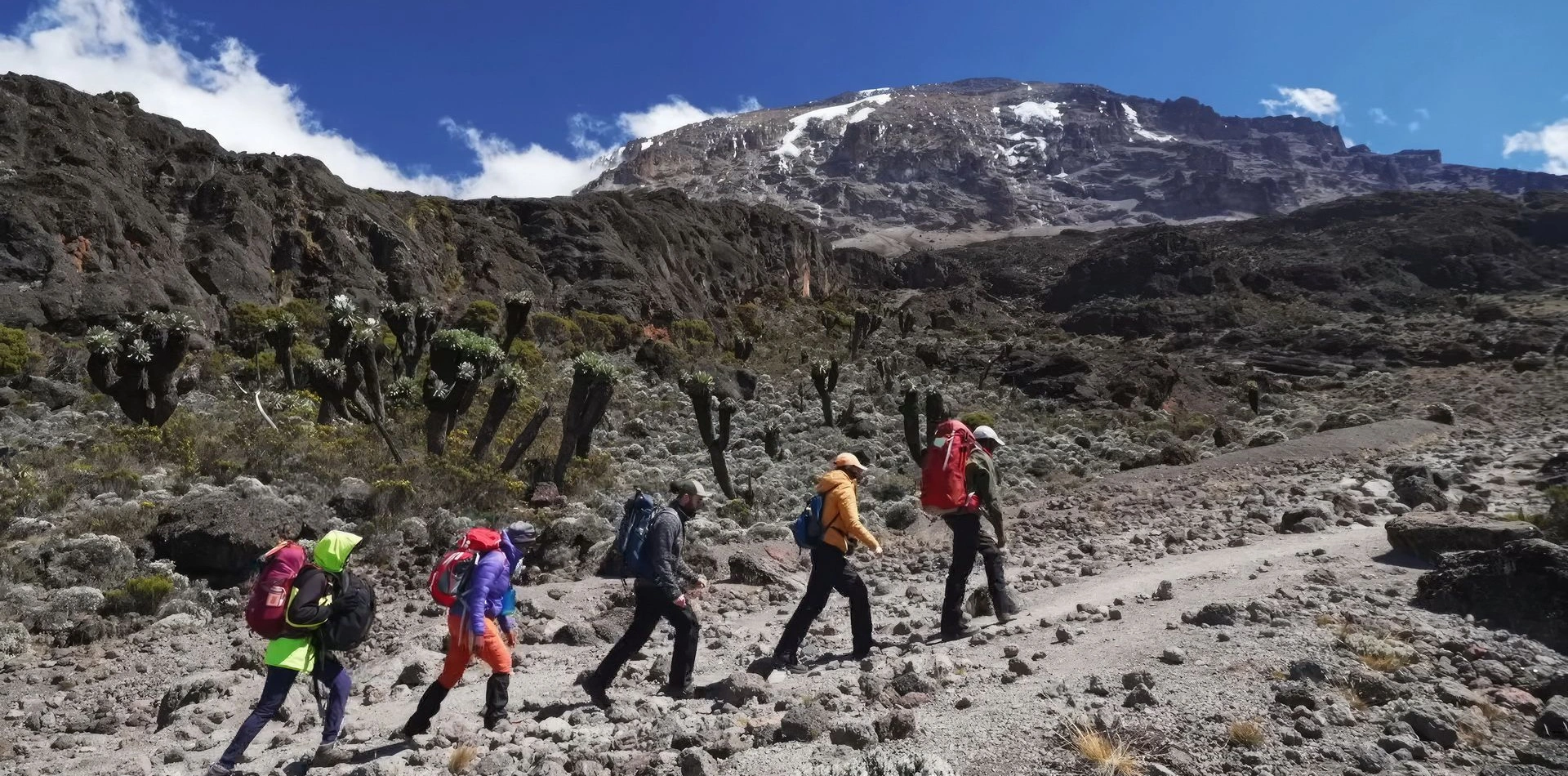 7 Days Kilimanjaro Trekking Itinerary – Umbwe Route