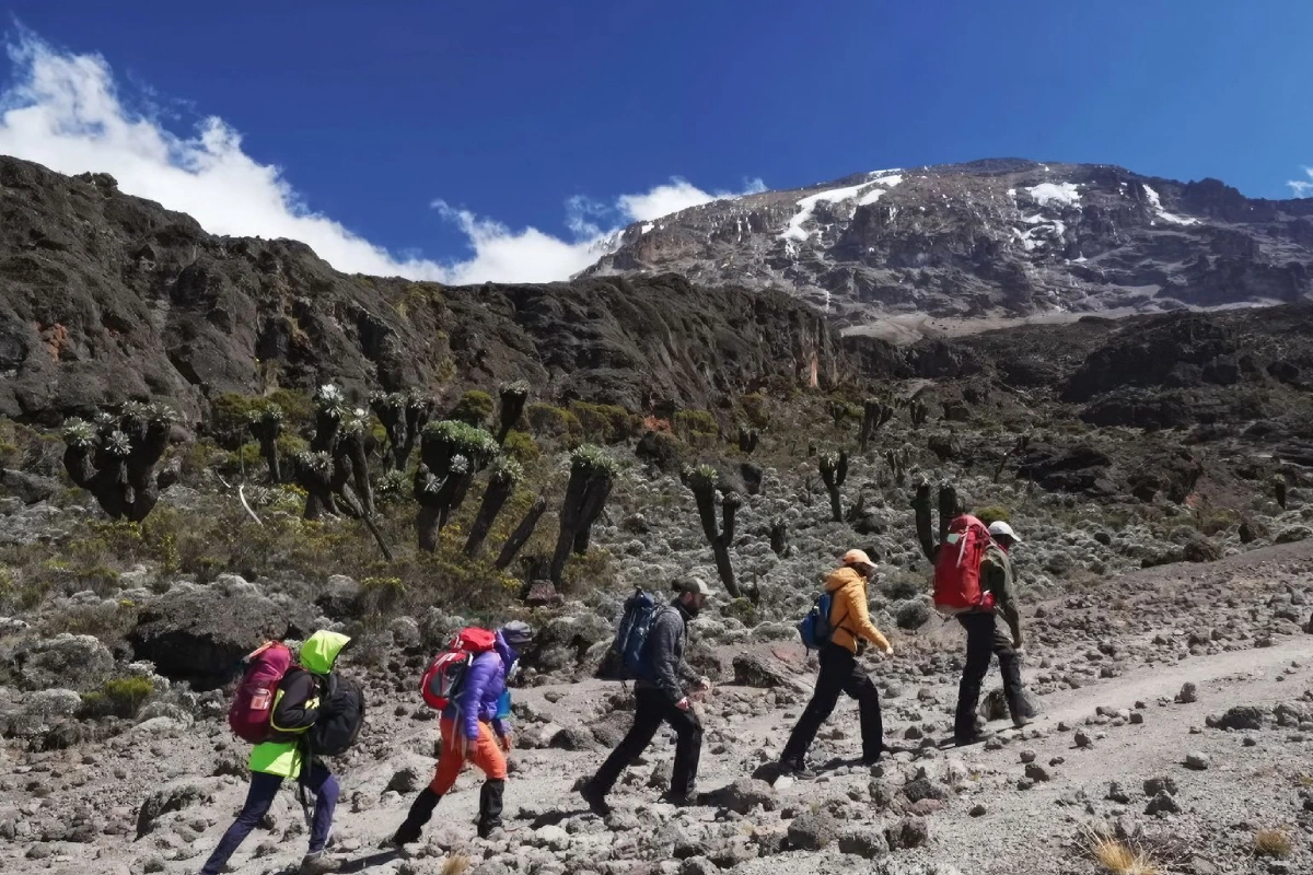 7 Days Kilimanjaro Trekking Itinerary – Umbwe Route