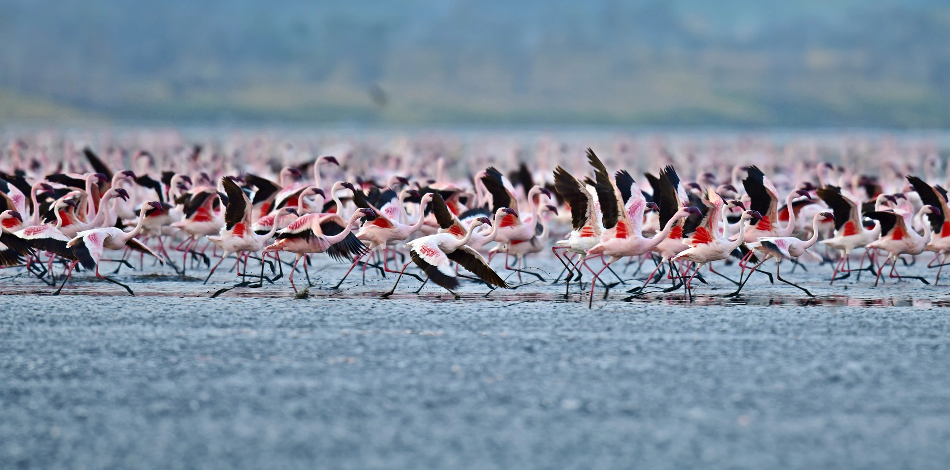 Lake Manyara Lake Manyara