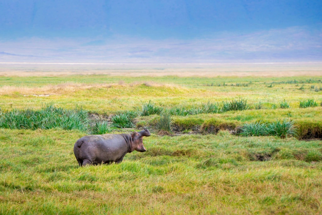 8-days-mid-range-safari-at-lake-eyasi-to-lake-natron-10